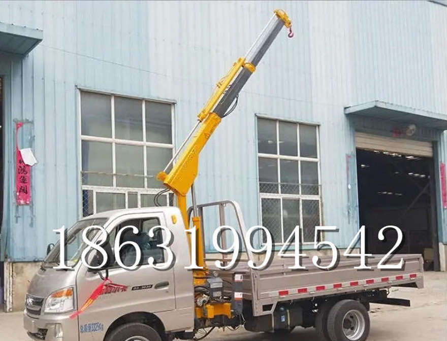 长葛市随车吊机装卸货物长葛市附近随车吊机220伏家用吊机1/2吨吊机小吊机220V搬运